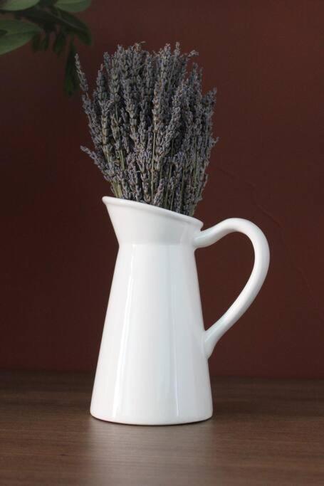 Lavandula Ring Tiranë Eksteriør bilde