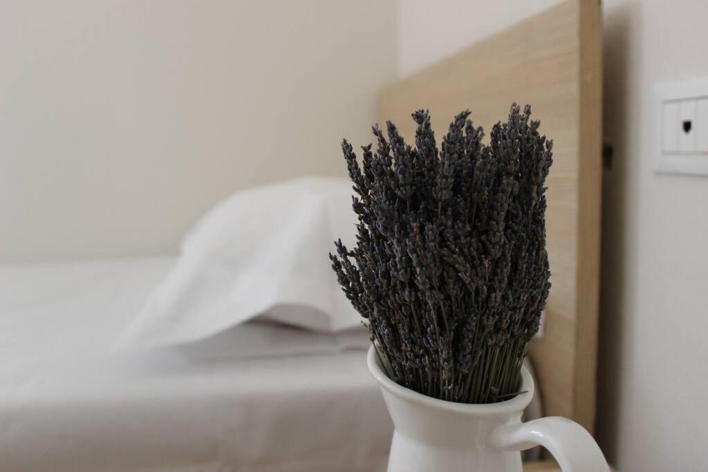 Lavandula Ring Tiranë Eksteriør bilde